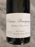 Leroy Coteaux Bourguignon Rouge 2021